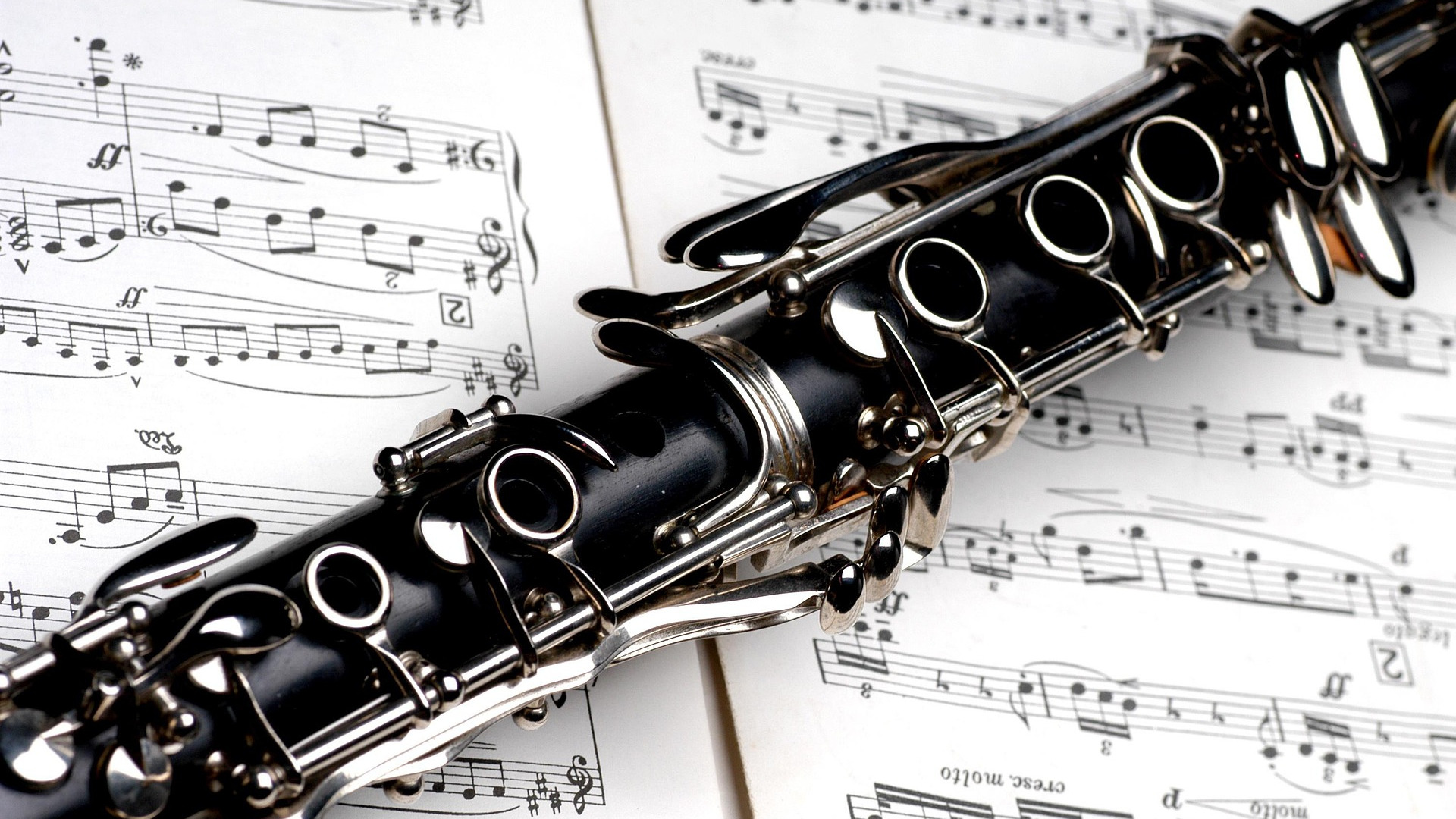 Music Live Musikschule Klarinette Unterricht